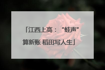 江西上高：“蛙声”算新账 稻田写人生