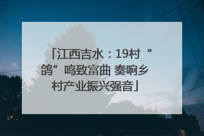 江西吉水：19村“鸽”鸣致富曲 奏响乡村产业振兴强音