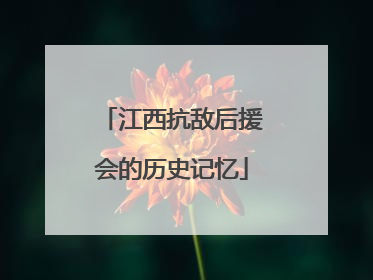 江西抗敌后援会的历史记忆