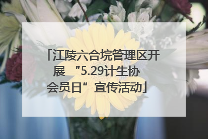 江陵六合垸管理区开展 “5.29计生协会员日”宣传活动
