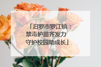 汨罗市罗江镇：禁毒护苗齐发力 守护校园助成长