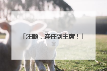 汪顺，连任副主席！