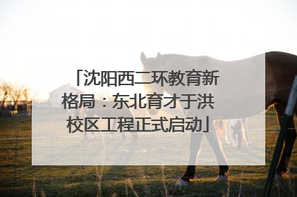 沈阳西二环教育新格局：东北育才于洪校区工程正式启动