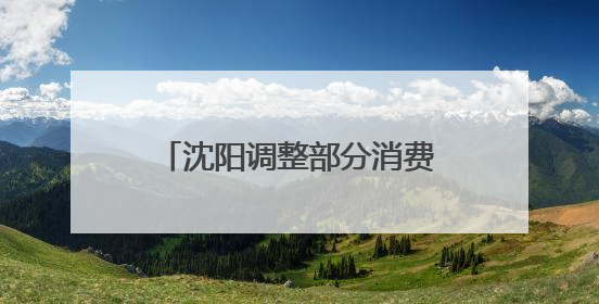 沈阳调整部分消费品以旧换新活动