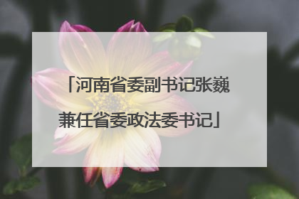 河南省委副书记张巍兼任省委政法委书记