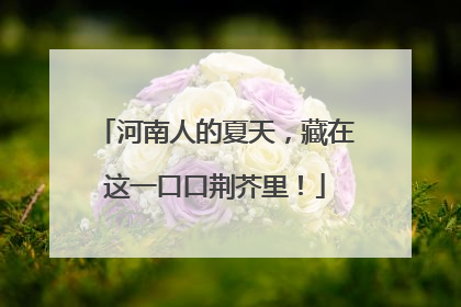 河南人的夏天，藏在这一口口荆芥里！