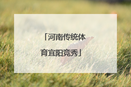 河南传统体育宜阳竞秀