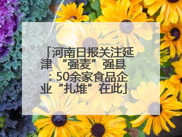 河南日报关注延津 “强麦”强县：50余家食品企业“扎堆”在此