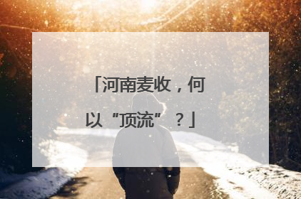 河南麦收，何以“顶流”？