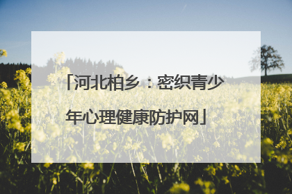河北柏乡：密织青少年心理健康防护网