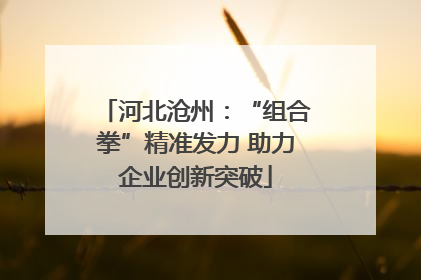 河北沧州：“组合拳”精准发力 助力企业创新突破