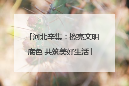 河北辛集：擦亮文明底色 共筑美好生活