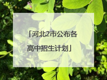 河北2市公布各高中招生计划