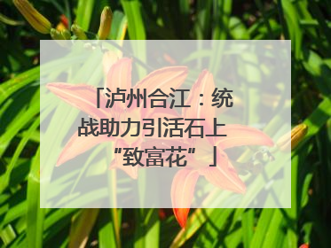 泸州合江：统战助力引活石上“致富花”