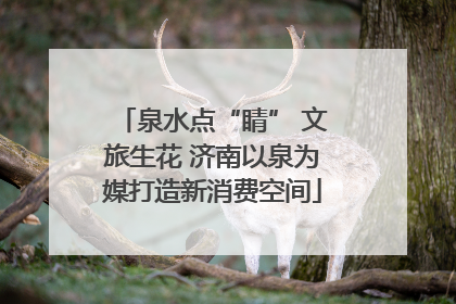 泉水点“睛” 文旅生花 济南以泉为媒打造新消费空间