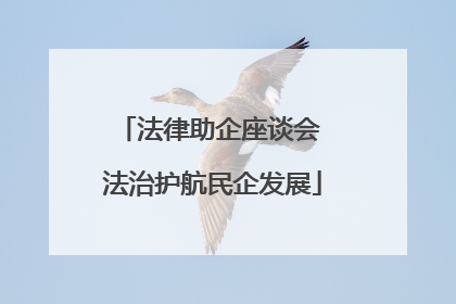 法律助企座谈会 法治护航民企发展