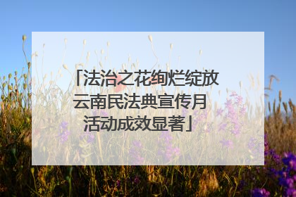 法治之花绚烂绽放 云南民法典宣传月活动成效显著