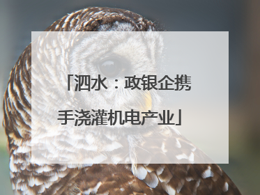 泗水：政银企携手浇灌机电产业