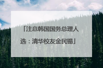 注意韩国国务总理人选：清华校友金民锡