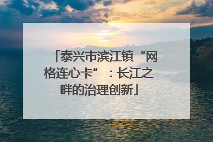 泰兴市滨江镇“网格连心卡”：长江之畔的治理创新