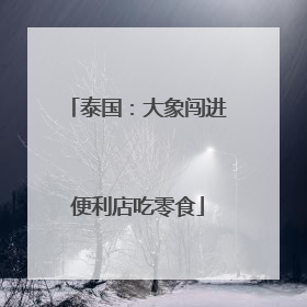 泰国：大象闯进便利店吃零食
