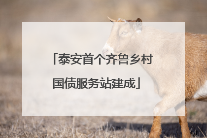 泰安首个齐鲁乡村国债服务站建成