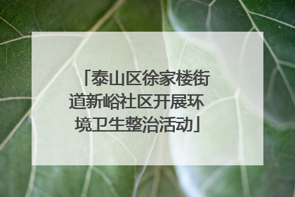 泰山区徐家楼街道新峪社区开展环境卫生整治活动