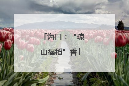 海口：“琼山福稻”香