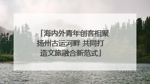 海内外青年创客相聚扬州古运河畔 共同打造文旅融合新范式