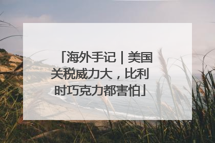 海外手记｜美国关税威力大，比利时巧克力都害怕