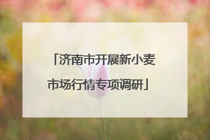 济南市开展新小麦市场行情专项调研