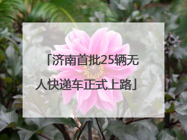 济南首批25辆无人快递车正式上路