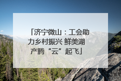 济宁微山：工会助力乡村振兴 鲜美湖产腾“云”起飞
