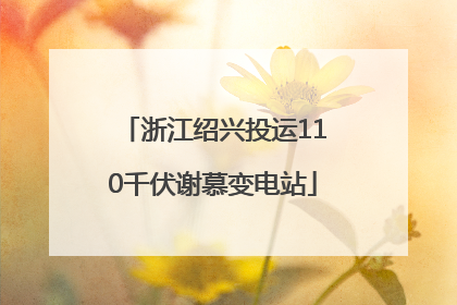 浙江绍兴投运110千伏谢慕变电站