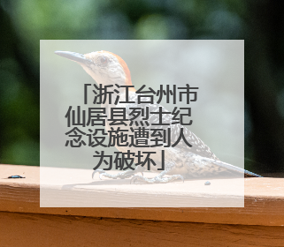浙江台州市仙居县烈士纪念设施遭到人为破坏