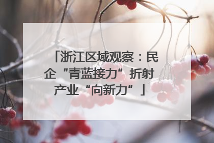 浙江区域观察：民企“青蓝接力”折射产业“向新力”