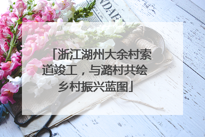 浙江湖州大余村索道竣工，与潞村共绘乡村振兴蓝图