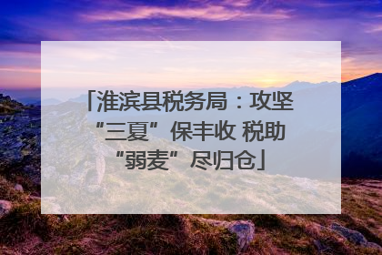 淮滨县税务局：攻坚“三夏”保丰收 税助“弱麦”尽归仓
