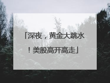 深夜，黄金大跳水！美股高开高走