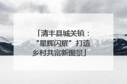 清丰县城关镇：“星辉闪耀”打造乡村共富新图景