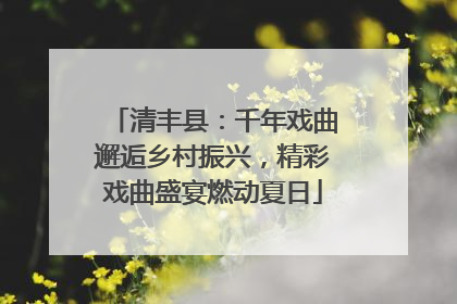 清丰县：千年戏曲邂逅乡村振兴，精彩戏曲盛宴燃动夏日