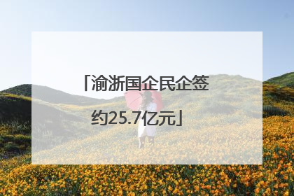 渝浙国企民企签约25.7亿元