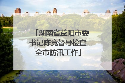 湖南省益阳市委书记陈竞督导检查全市防汛工作