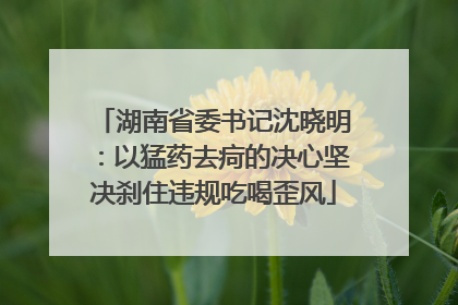 湖南省委书记沈晓明：以猛药去疴的决心坚决刹住违规吃喝歪风