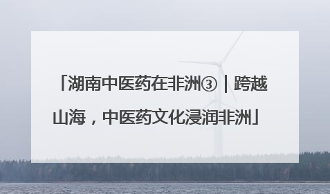 湖南中医药在非洲③｜跨越山海，中医药文化浸润非洲
