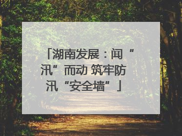 湖南发展：闻“汛”而动 筑牢防汛“安全墙”