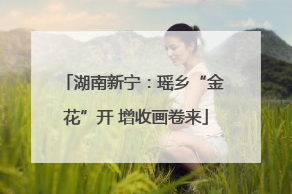 湖南新宁：瑶乡“金花”开 增收画卷来