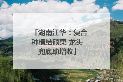 湖南江华：复合种植结硕果 龙头兜底助增收