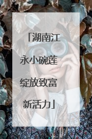 湖南江永小碗莲绽放致富新活力