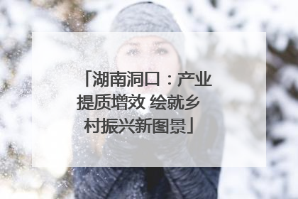 湖南洞口：产业提质增效 绘就乡村振兴新图景
